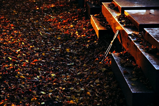 Fotografía por Choane para DesignCrowd (Community Contests) | Diseño #8998903