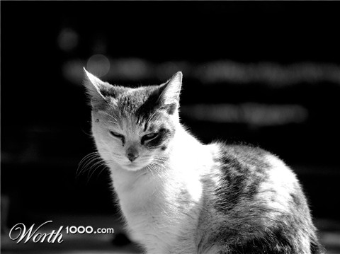 Photography by alxkueyar