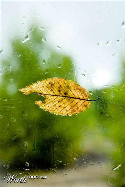 Photography by katekriger