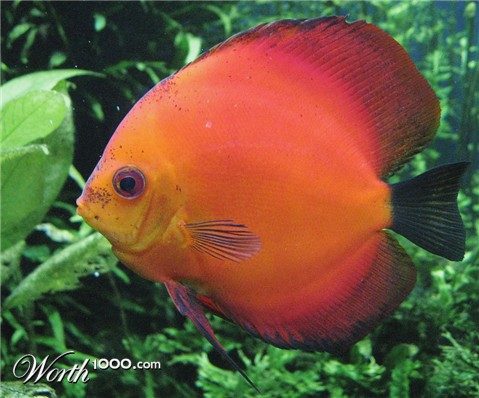 Photography by Rhiannonsmommy