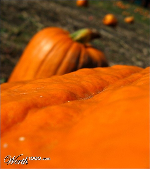 Photography by spincast1123