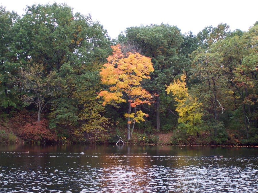 Photography by wilowwhysp for DesignCrowd (Community Contests) | Design #8998957