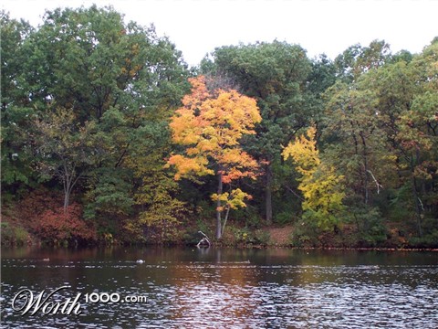 Photography by wilowwhysp