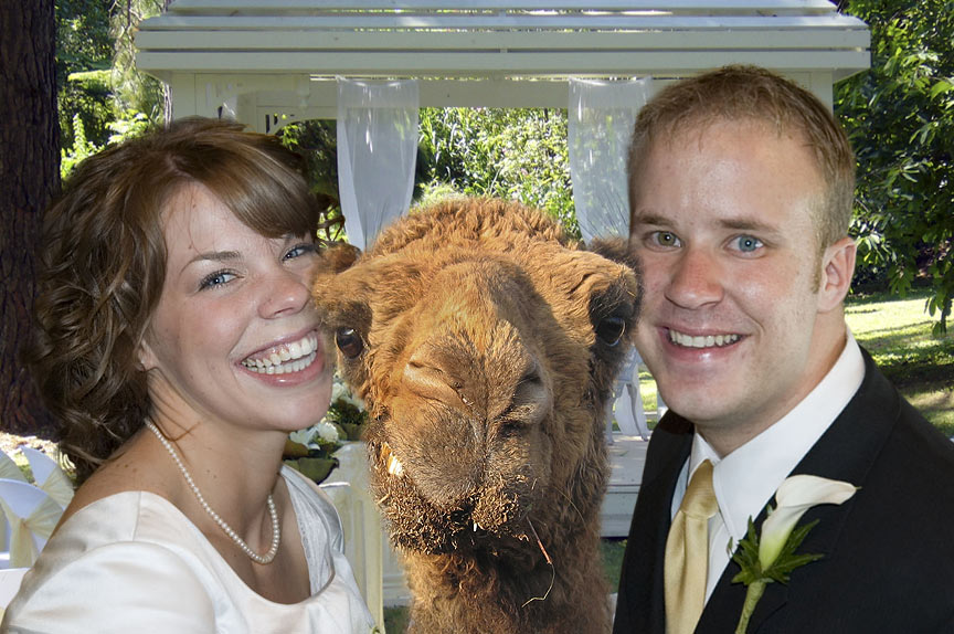 Photoshop Design by MrSlausen for DesignCrowd (Community Contests) | Design #9003744