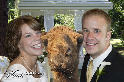 Photoshop Design by MrSlausen