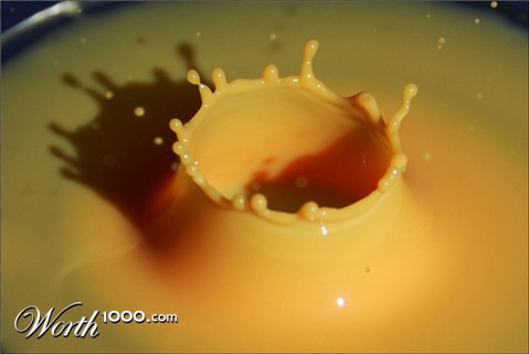 Photography by sundive-ken