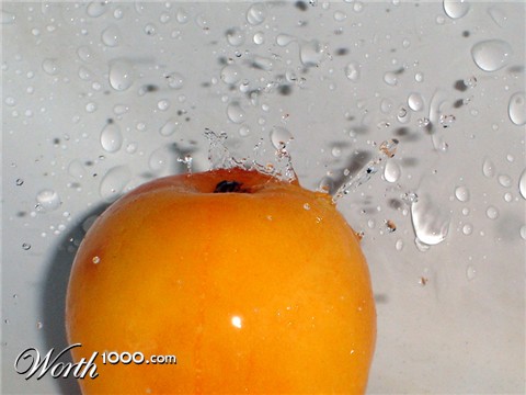 Photography by wannajo