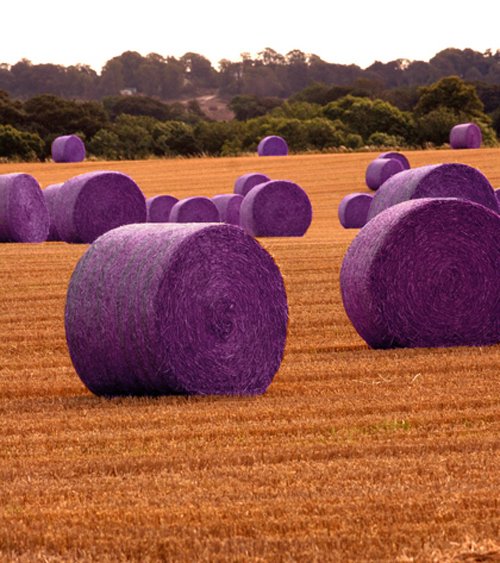 Photoshop Design by CherryPicn for DesignCrowd (Community Contests) | Design #9003762