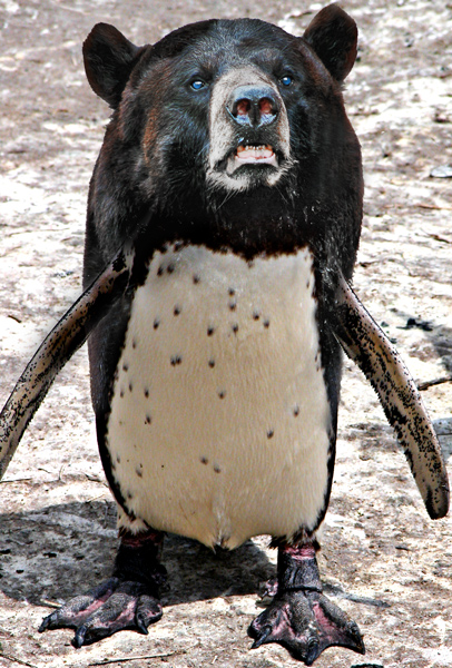 Photoshop Design by mattbyng for DesignCrowd (Community Contests) | Design #9000804