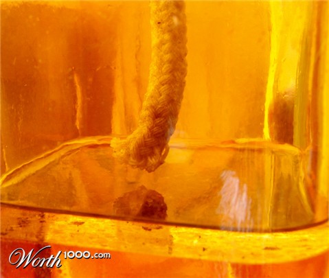 Photography by Shyrath