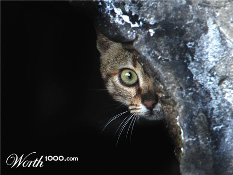 Photography by bigevil600