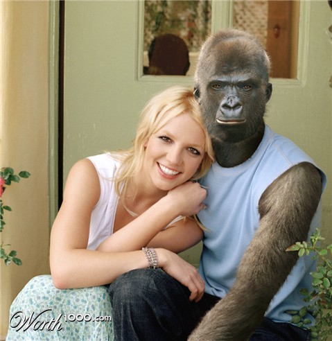 Photoshop Design by bosss1