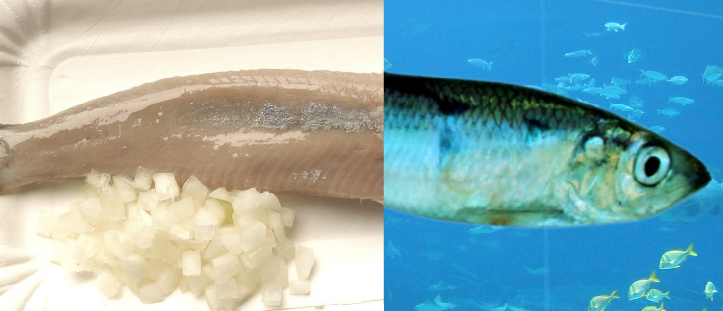 Photoshop-Design von Shyrath für DesignCrowd (Community Contests) | Design #8997031