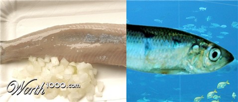 Photoshop Design by Shyrath