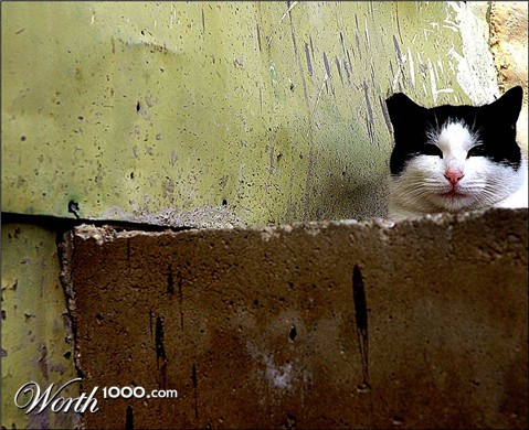 Photography by Ronbrandt