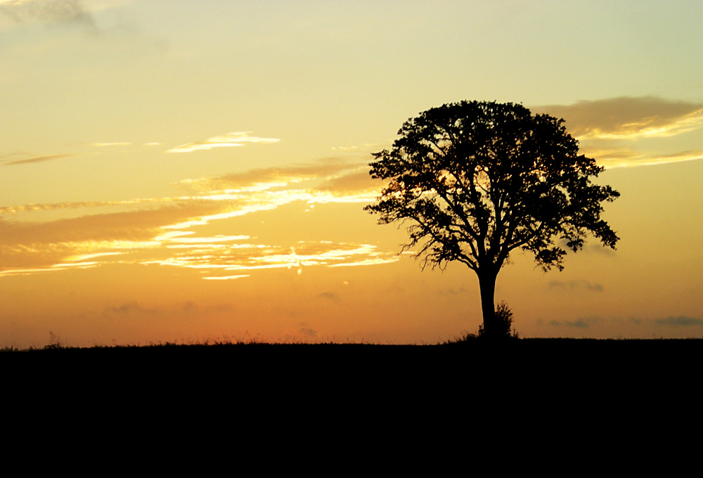 Photography by YoSpiff for DesignCrowd (Community Contests) | Design #8998011