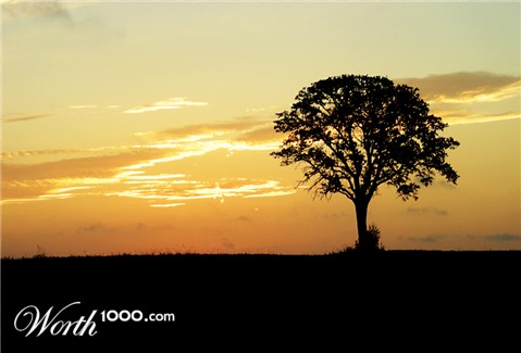 Photography by YoSpiff