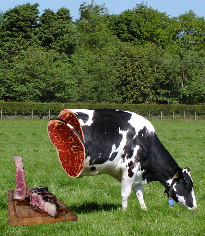 Photoshop Design by mizio77 for DesignCrowd (Community Contests) | Design #8997063