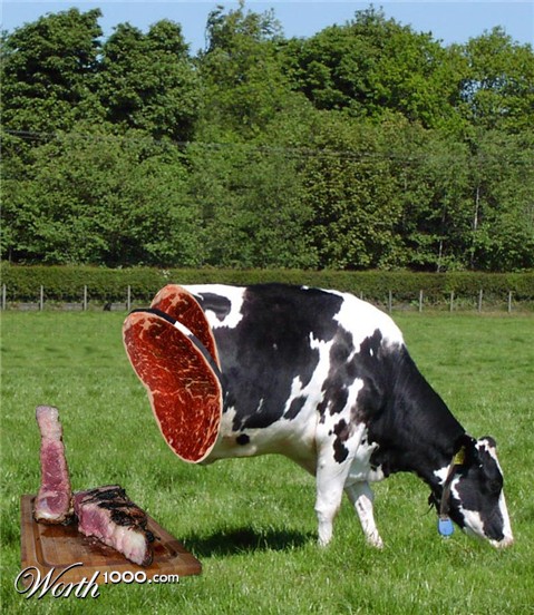 Photoshop Design by mizio77