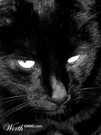 Photography by bestpicturesever