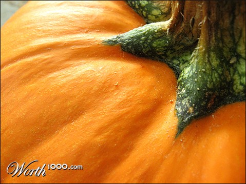 Photography by automotivefever