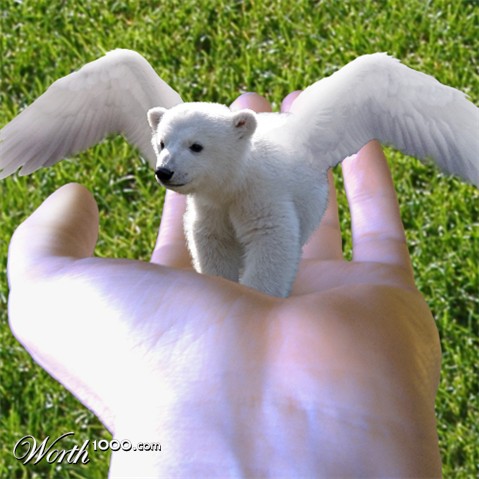 Photoshop Design by MsgtBob