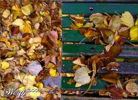 Photography by michelangelo66