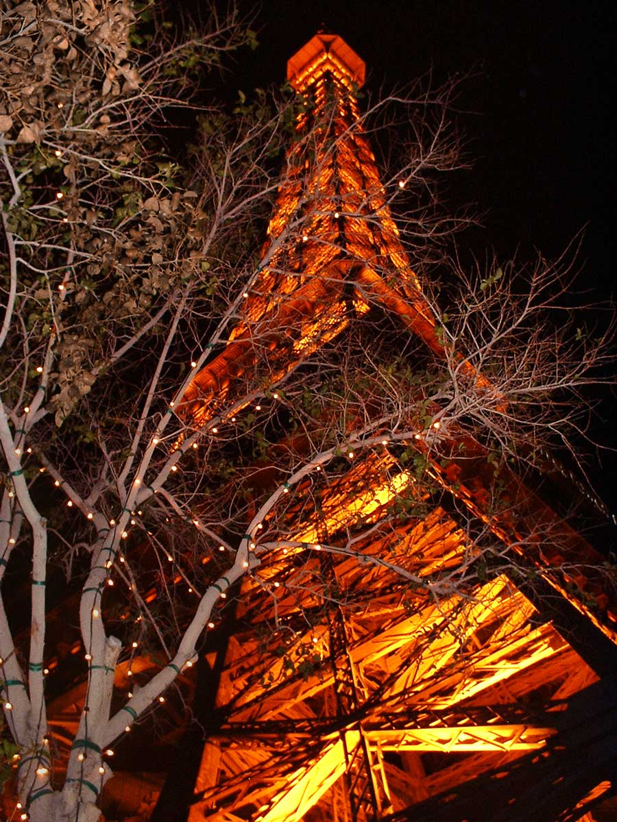 Fotografie von mangoslushy für DesignCrowd (Community Contests) | Design #8998924