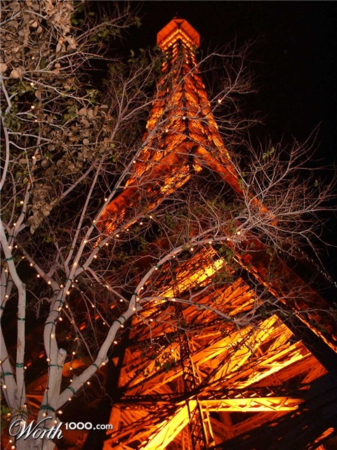 Photography by mangoslushy