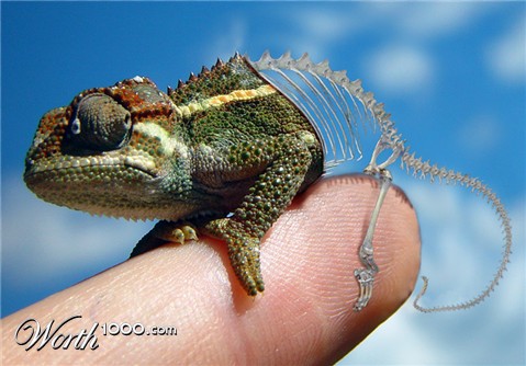 Photoshop Design by kizzle