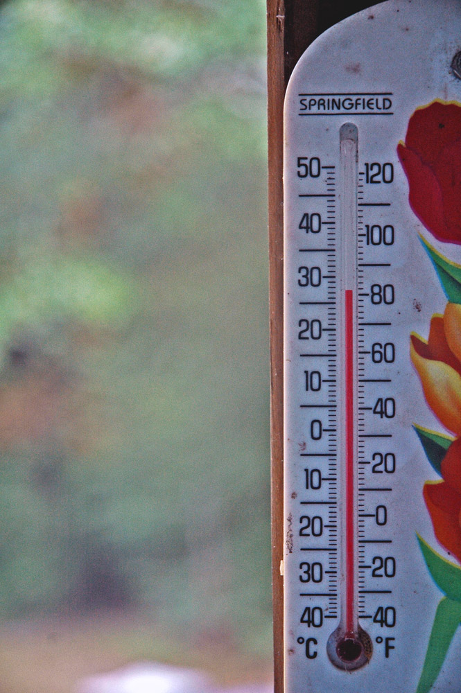 Photography by Lmorrow57 for DesignCrowd (Community Contests) | Design #8999138