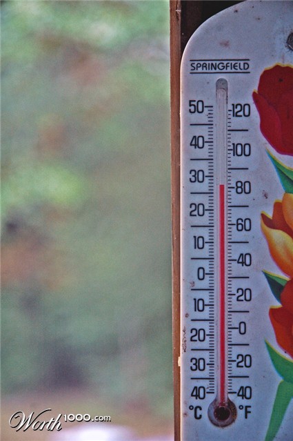 Photography by Lmorrow57