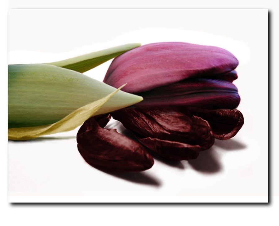 Photoshop-Design von awhicker für DesignCrowd (Community Contests) | Design #8997104