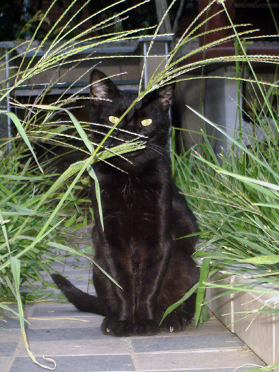 Photography by Grandma for DesignCrowd (Community Contests) | Design #9000121