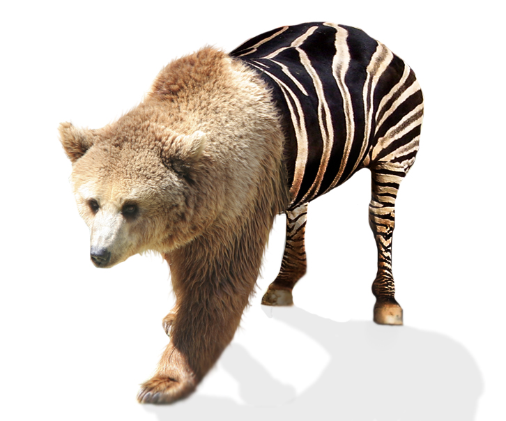 Photoshop Design by AliiXX for DesignCrowd (Community Contests) | Design #9000825