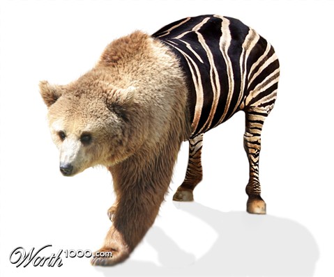 Photoshop Design by AliiXX