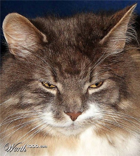 Photography by Berilu