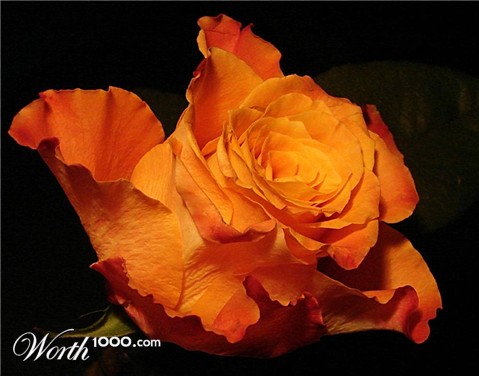 Photography by Berilu