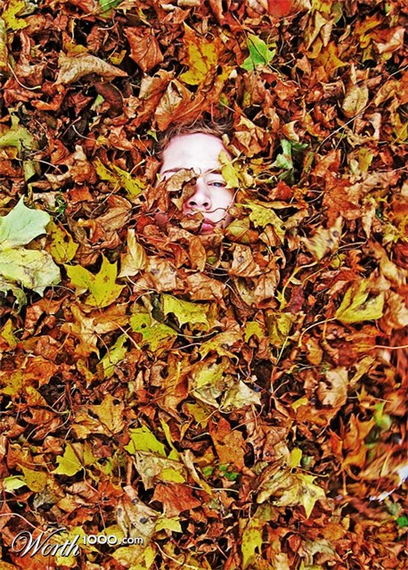 Photography by ManFromSun