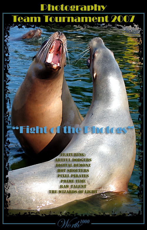 Photography by Nicky666 for DesignCrowd (Community Contests) | Design #8998175