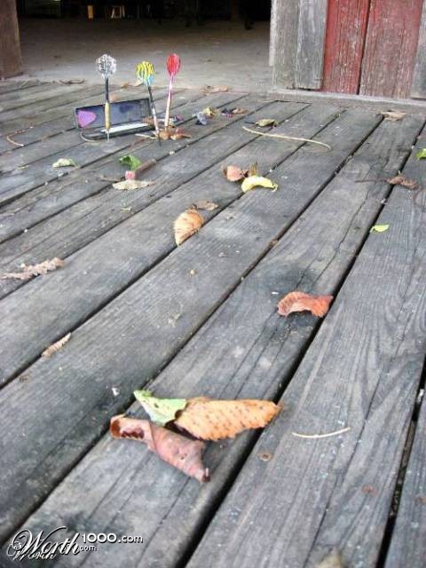 Photography by coopaloop