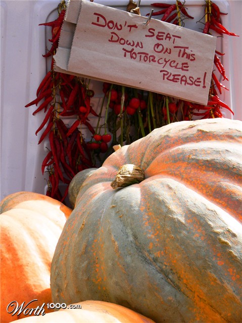 Photography by PozZz85