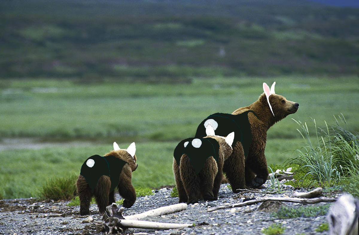 Design Photoshop par bicyclewilli pour DesignCrowd (Community Contests) | Design #9000879