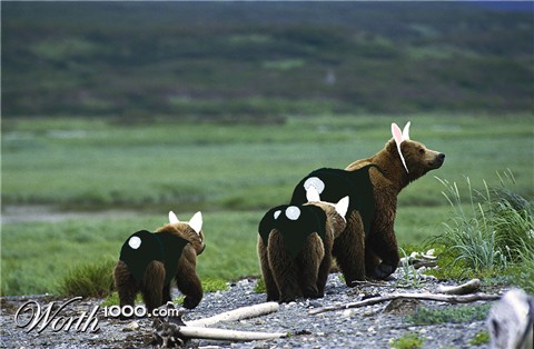 Photoshop Design by bicyclewilli