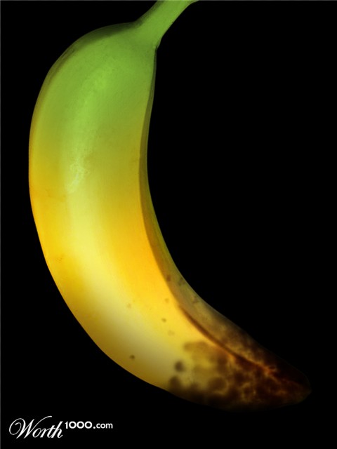 Photoshop Design by Siramad