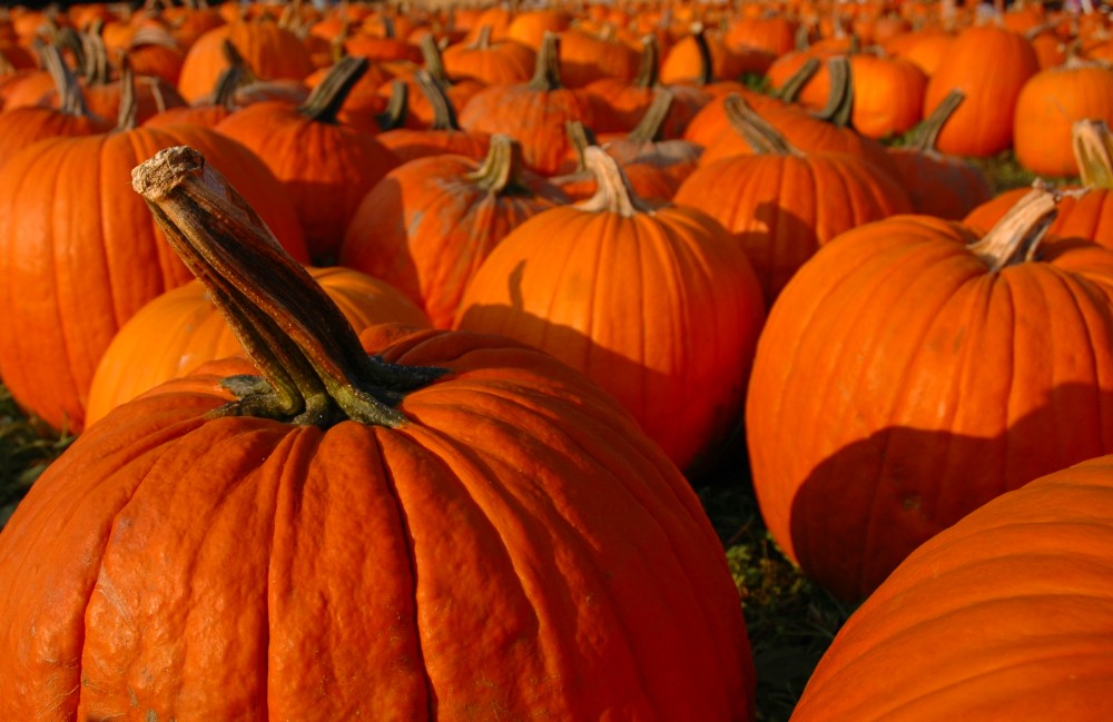 Photography by OutCold for DesignCrowd (Community Contests) | Design #8998095