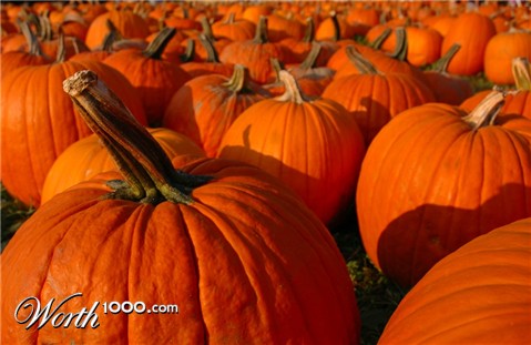 Photography by OutCold