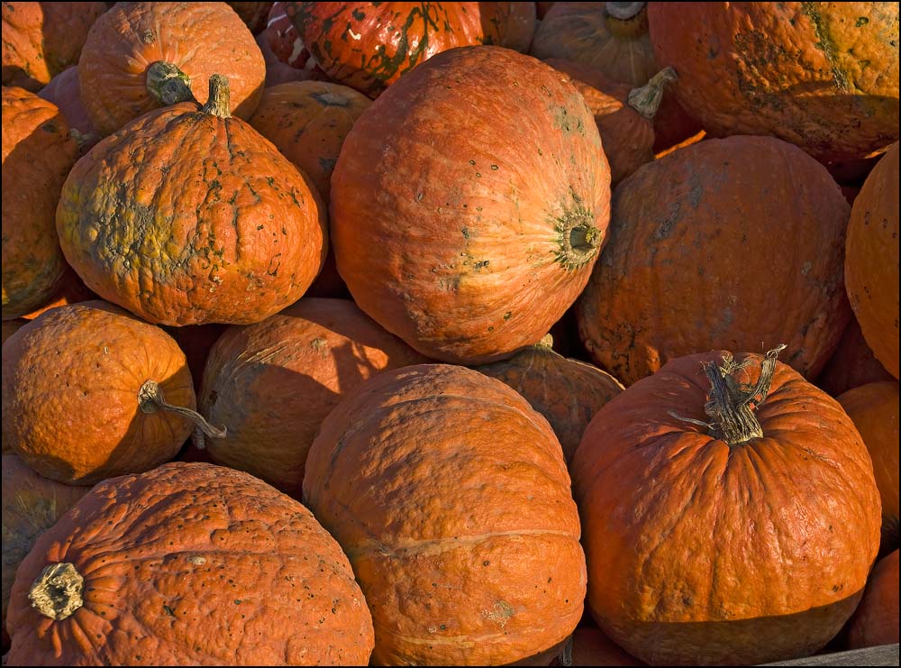 Fotografie von paul106 für DesignCrowd (Community Contests) | Design #8998090