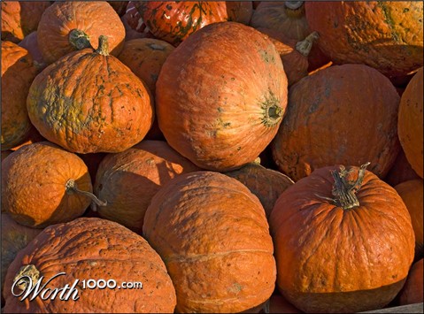 Photography by paul106