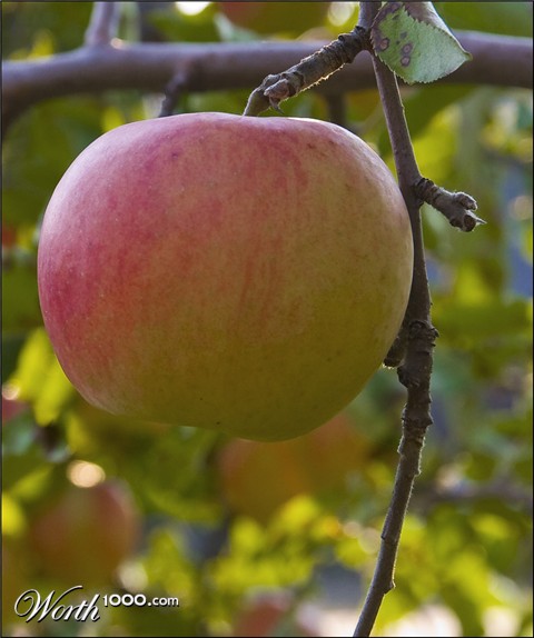 Photography by paul106